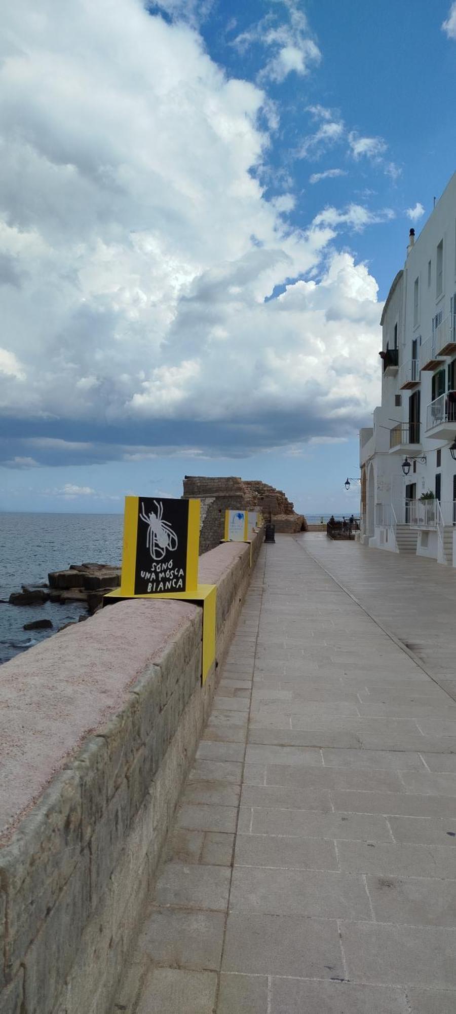 A Casa Di Ru, Bellissimo Appartamento Con Sauna Monopoli Eksteriør bilde